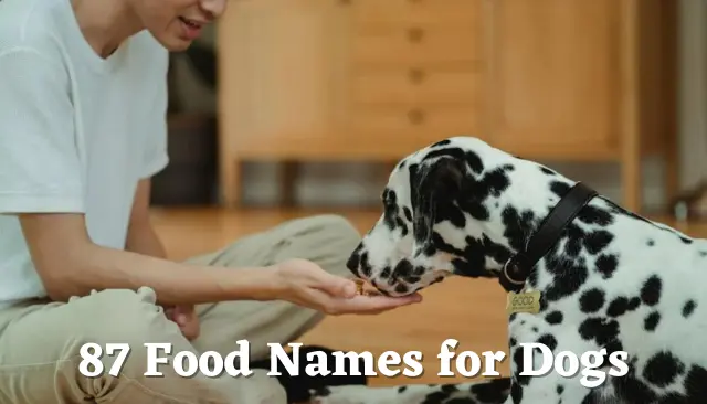 87 Food Names for Dogs