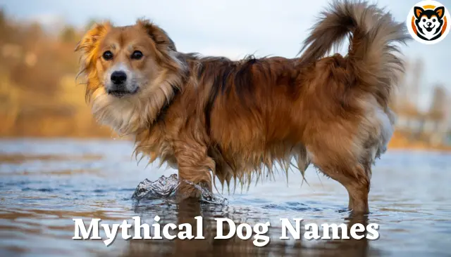 151 Mythical Dog Names